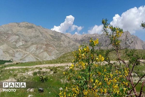 آلبوم تصویری از طبیعت زیبای شهر بار در اردیبهشت‌ماه  ۱۴۰۵ـ۲