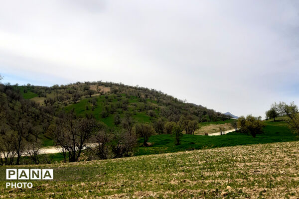 طبیعت دِراز‌رود؛ زیباترین تابلوی سبز لردگان