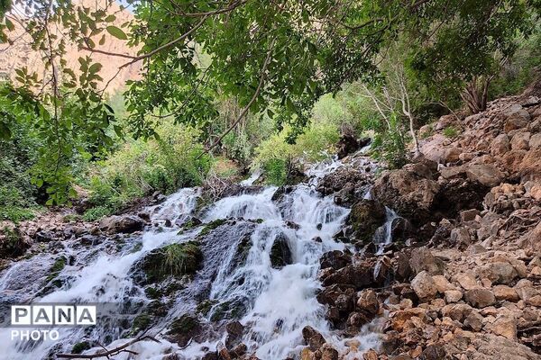 آبشار بار، نغمه‌ای از آب در دل طبیعت