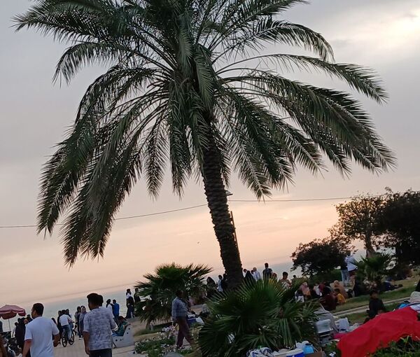 روز طبیعت در بوشهر
