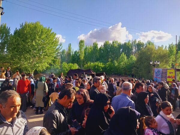 جشنواره ریواس در کوهسرخ