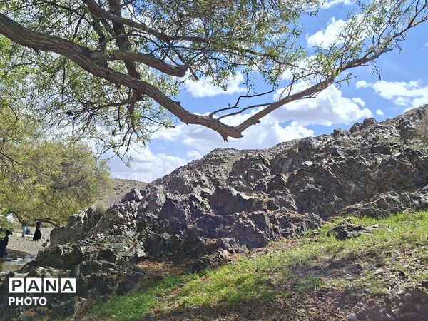 براکوه؛ جایی که کوهستان، جامه‌ی سرسبزی و طراوت پوشید