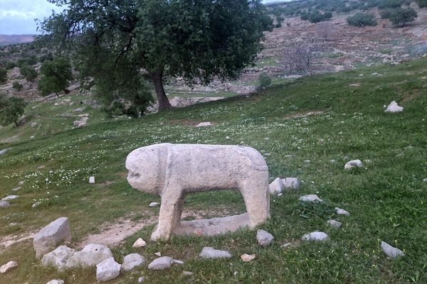 قبرستانی تاریخی و سرسبز به قدمت چند صد ساله در فارس