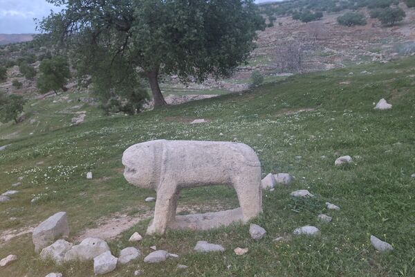 قبرستانی تاریخی و سرسبز به قدمت چند صد ساله در فارس