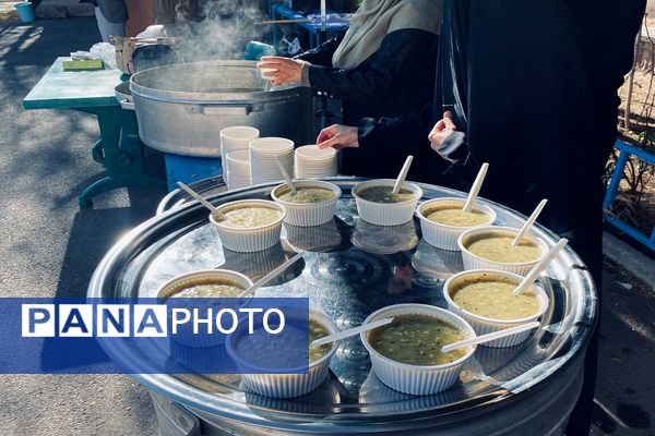 اردوی طرح تمشک در کرمان