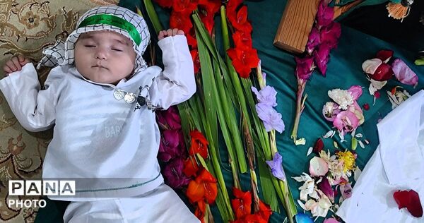 همایش بزرگ شیرخوارگان حسینی در کمال‌شهر کرج