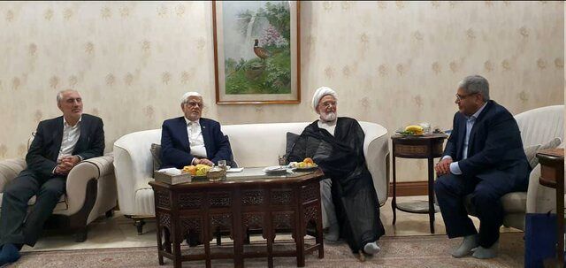 عارف با کروبی دیدار کرد