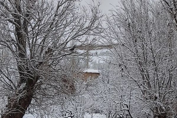 آسمان سخاوتمندانه نعمتش را در ماه شعبان به زمین شهر بار هدیه کرد