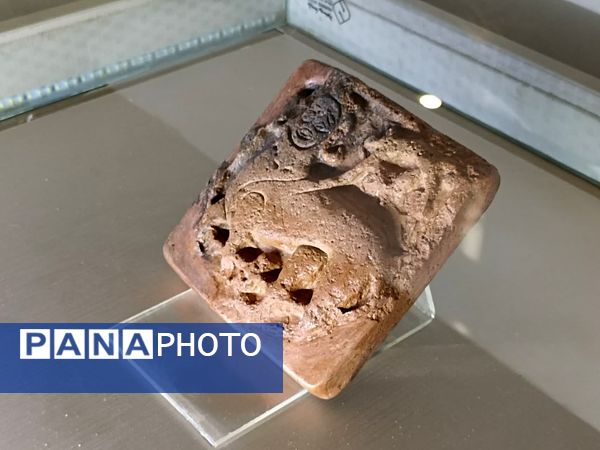  «باغ اکبریه» بیرجند