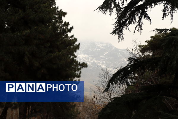 خلوت سرای پاییزی سعدآباد