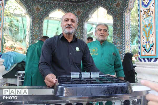 دسته عزاداری هیات سیدالساجدین قم