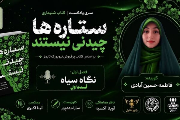 کتاب صوتی ستاره ها چیدنی نیستند