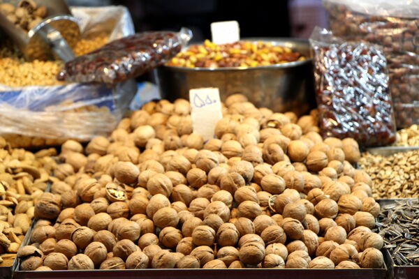 نمایشگاه شب یلدا در باغ دولت‌آباد یزد