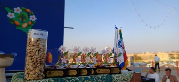 شکوفایی طعم و فرهنگ در سامان؛ دومین جشنواره بادام و گردو 