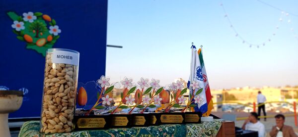 شکوفایی طعم و فرهنگ در سامان؛ دومین جشنواره بادام و گردو 