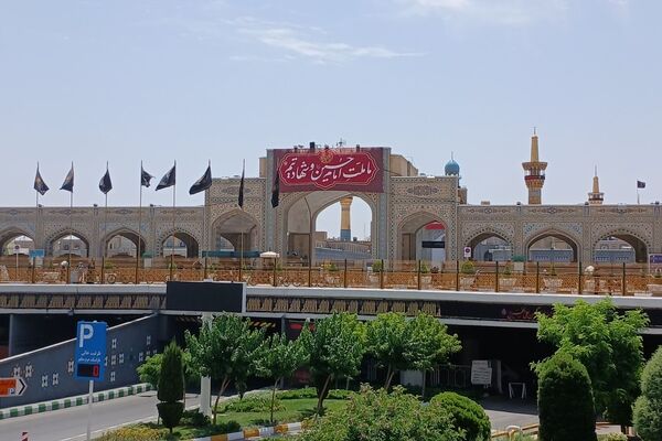 عاشورا؛ روایت دلدادگی در قاب اشک و ارادت 