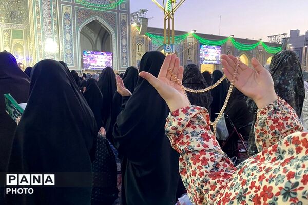 سفر به دیار مهربانی