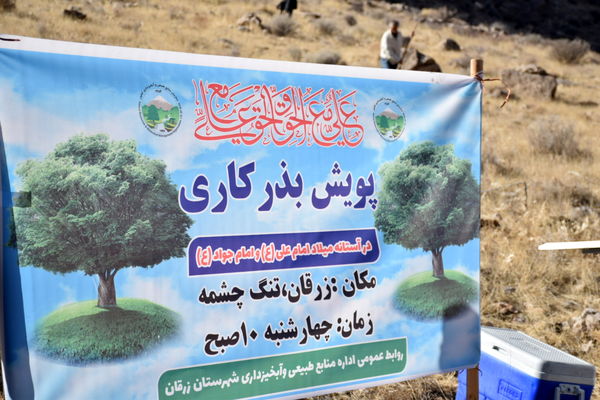 کاشت بذر بادام کوهی در تنگ چشمه زرقان