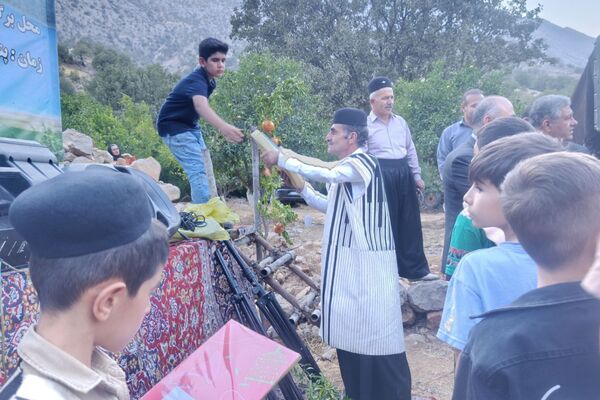 سومین جشنواره انار در دزپارت جشن رنگ و طعم در زاگرس