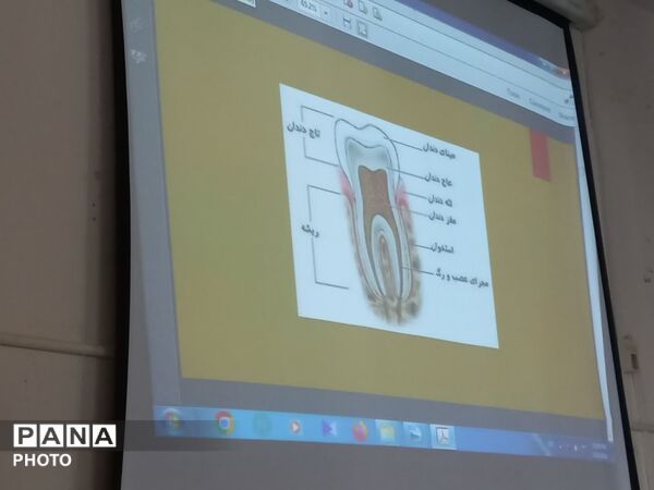 دوره توانمندسازی آموزگاران پایه شهر سورشجان با هدف کیفیت‌بخشی به برنامه‌های سلامت و تندرستی