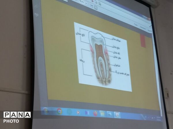دوره توانمندسازی آموزگاران پایه شهر سورشجان با هدف کیفیت‌بخشی به برنامه‌های سلامت و تندرستی