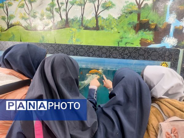 اردوی علمی ،تفریحی دانش آموزان مدرسه مهندس رحمانی فرد در پژوهش سرای علامه طباطبایی