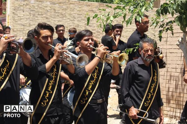 آیین نخلبرداری روز عاشورا در روستای علی آباد پیشکوه تفت