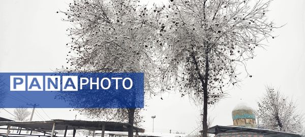 لردگان میزبان اولین برف زمستانی 