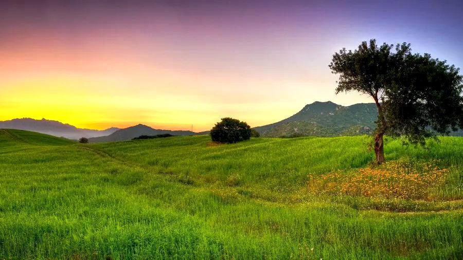 به بهانه روز طبیعت