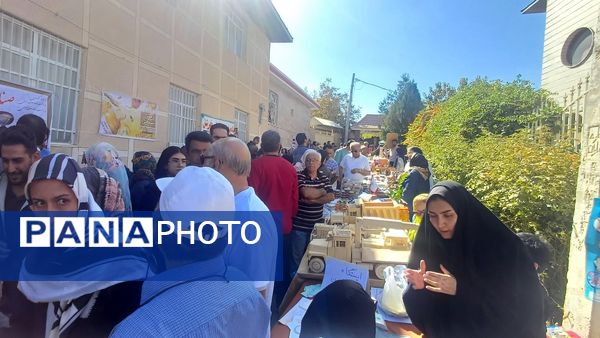 جشن بزرگ بادام در تفرش