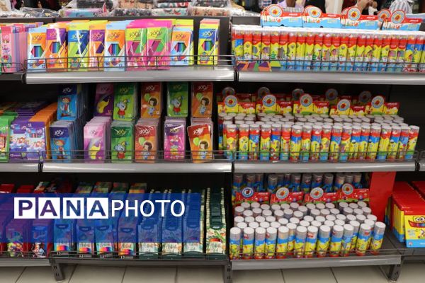 افتتاح چهارمین نمایشگاه ایران نوشت در شیراز