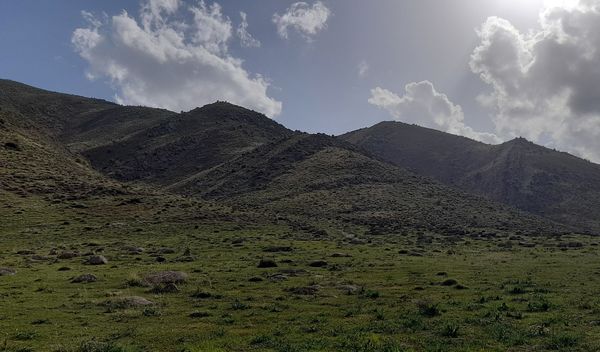 هنر در طبیعت نهفته است