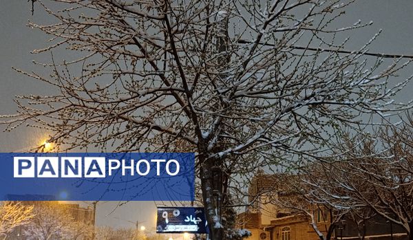 رحمت الهی برف بهاری بر دیار سلسله الذهب