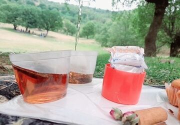 شور و نشاط دانش‌آموزان آموزشگاه فروغ‌دانش در اردوی تفریحی