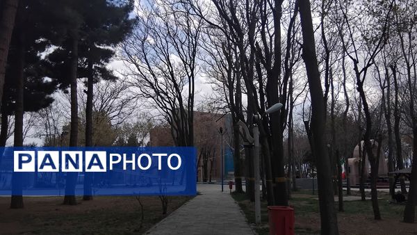 گل‌ها و درختان در شکوفایی