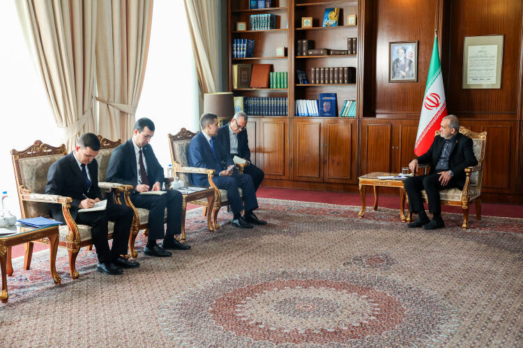 ایجاد نهاد مالی شانگهای پشتوانه‌ای موثر برای پیشبرد برنامه‌های مشترک اعضا فراهم می‌آورد