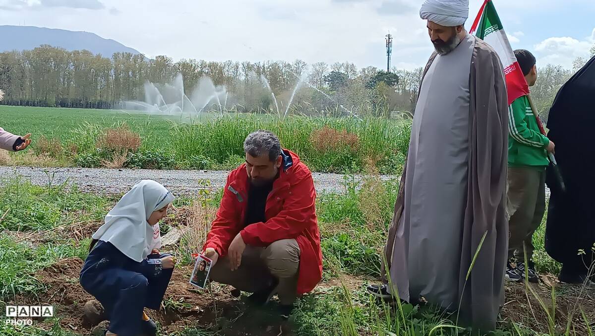 کاشت نهال فرهنگیان و دانش‌آموزان استان البرز با لبیک به فراخوان رهبر معظم انقلاب برای شهیدان شجره طیبه میناب