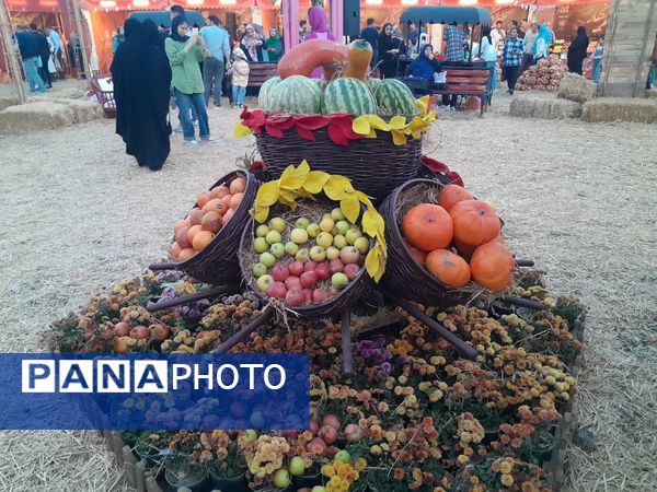 طعم و رنگ پاییز در باغ مشهد