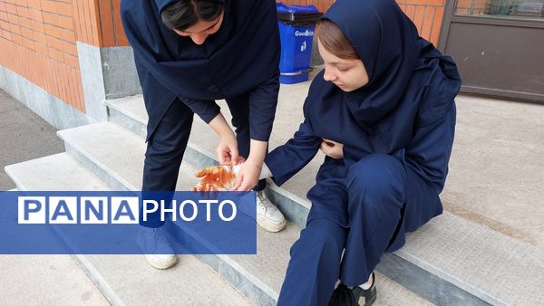 مانور زلزله در مدارس ناحیه1 زنجان