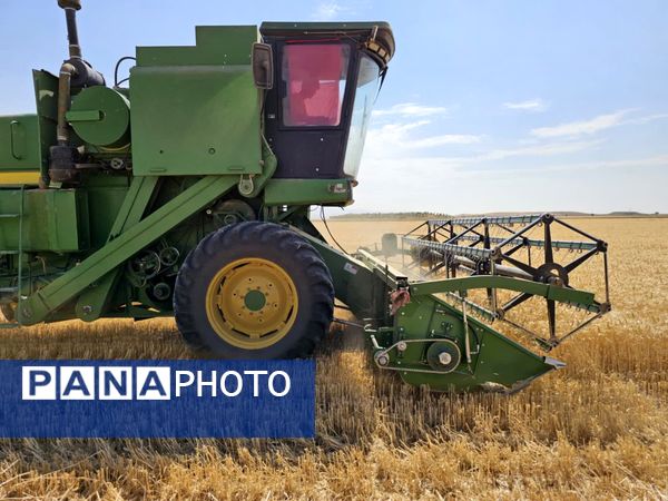 بازدید از مراکز خرید گندم در شهرستان فاروج