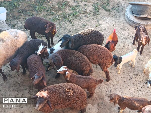 طبیعت در دل روستای برزنون،حال و هوای این دیار از قاب پانا