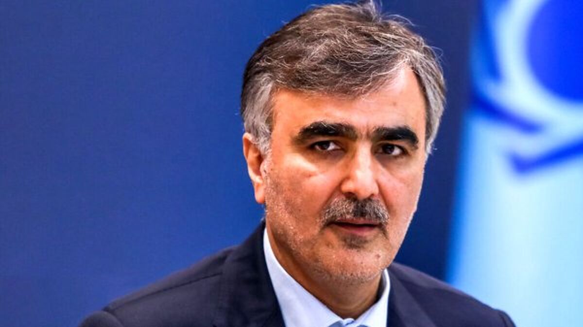 فرزین: با ترس و اخبار منفی به‌دنبال اثرگذاری بر روی نرخ ارز هستند
