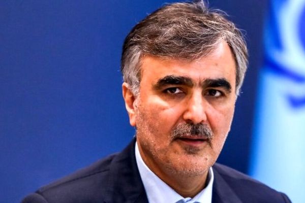 فرزین: فروش دارایی‌های بانک سابق آینده در اولویت صندوق سپرده‌ها است