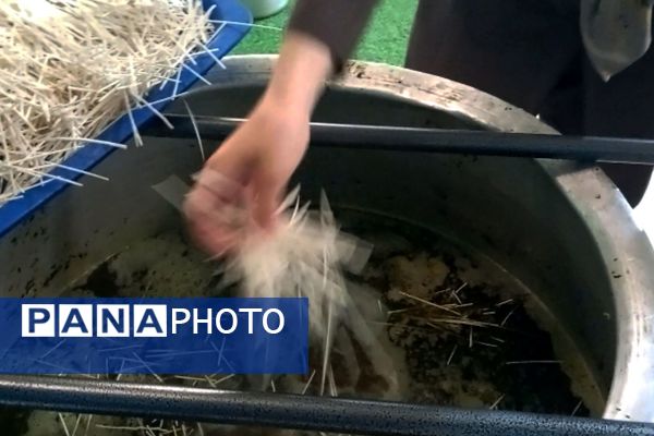 مراسم پخت نذری توسط دانش‌آموزان شیرازی به همت مجموعه تربیت علوی خواهران