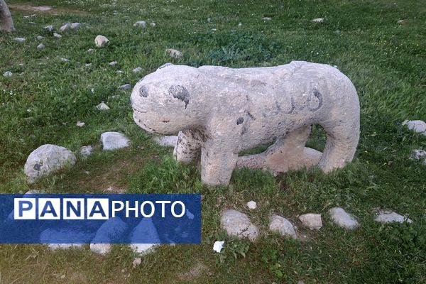 قبرستانی تاریخی و سرسبز به قدمت چند صد ساله در فارس