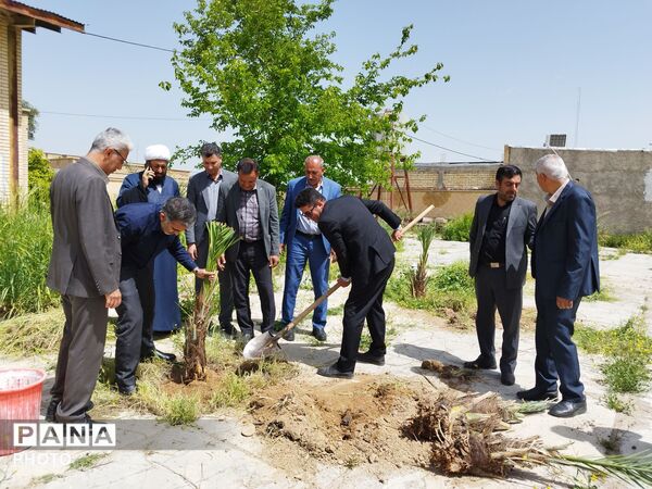 ۴ اصل نخل؛ نماد پاسداشت شهیدان و همدلی در منطقه شیب‌کوه 