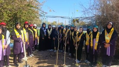 درختکاری فجرانه در مدرسه ام‌البنین جم
