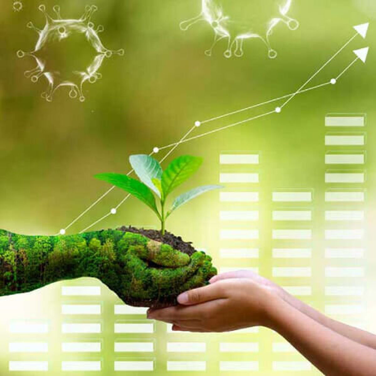 آموزش دانش‌آموزان نقش مهمی در مصرف بهینه انرژی دارد