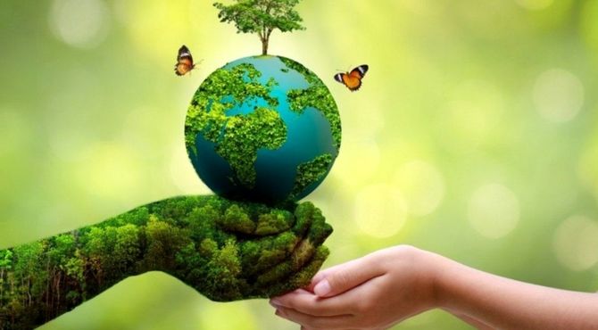 طبیعت در محاصره بحران؛ ردپای تخریب از جنگل تا زندگی مردم