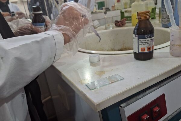 برگزاری کارگاه خون شناسی در پژوهشسرای دکتر حسابی شهرقدس
